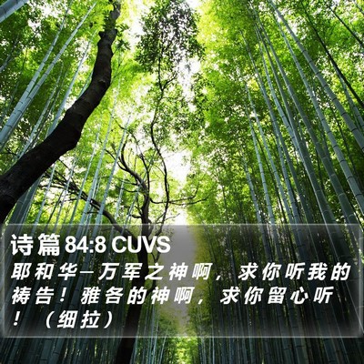 诗 篇 84:8 CUVS Bible Verse Image
