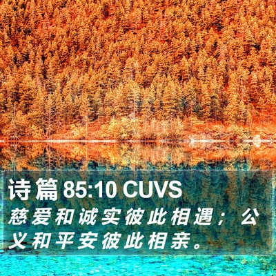 诗 篇 85:10 CUVS Bible Verse Image