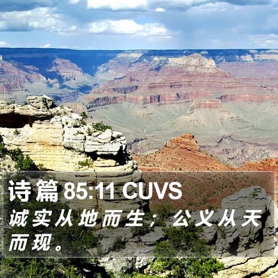 诗 篇 85:11 CUVS Bible Verse Image