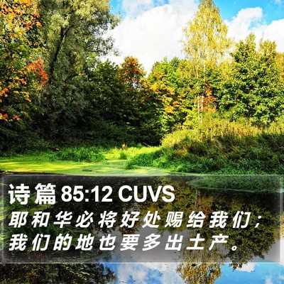 诗 篇 85:12 CUVS Bible Verse Image