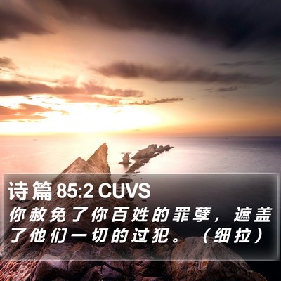 诗 篇 85:2 CUVS Bible Verse Image