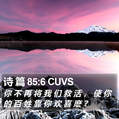 诗 篇 85:6 CUVS Bible Verse Image