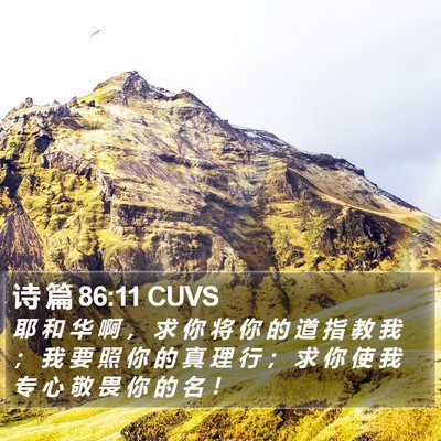 诗 篇 86:11 CUVS Bible Verse Image