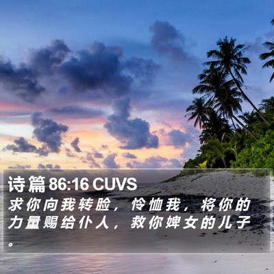诗 篇 86:16 CUVS Bible Verse Image