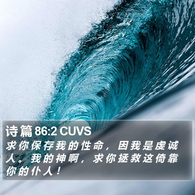 诗 篇 86:2 CUVS Bible Verse Image