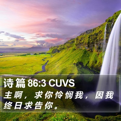 诗 篇 86:3 CUVS Bible Verse Image