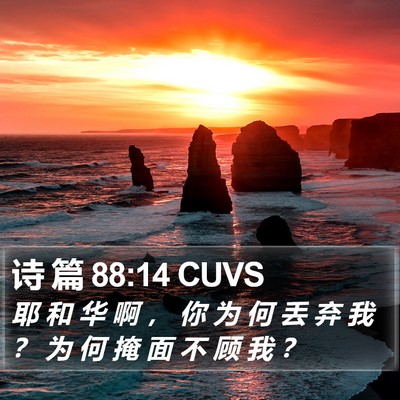 诗 篇 88:14 CUVS Bible Verse Image