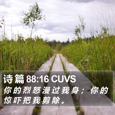 诗 篇 88:16 CUVS Bible Verse Image
