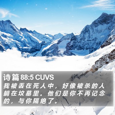 诗 篇 88:5 CUVS Bible Verse Image