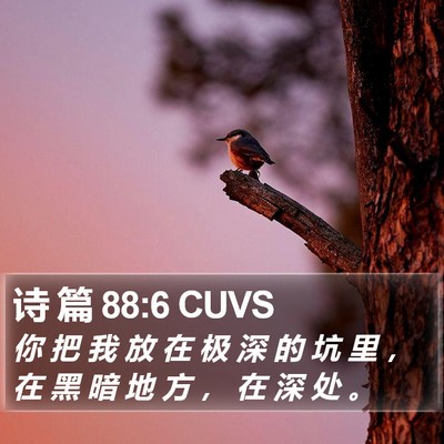诗 篇 88:6 CUVS Bible Verse Image