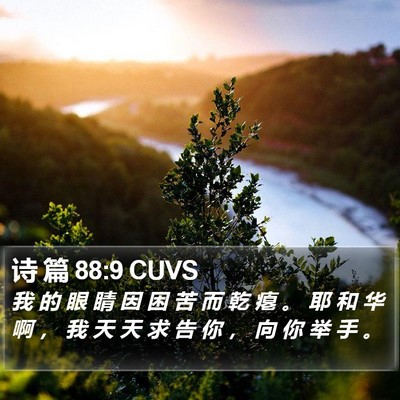 诗 篇 88:9 CUVS Bible Verse Image