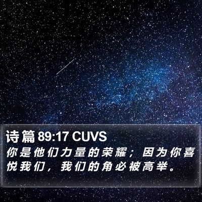诗 篇 89:17 CUVS Bible Verse Image