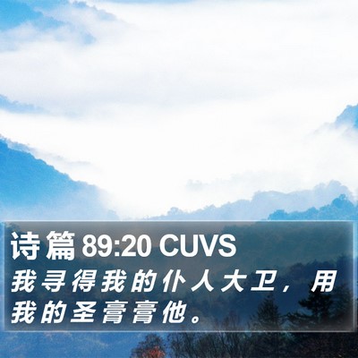 诗 篇 89:20 CUVS Bible Verse Image