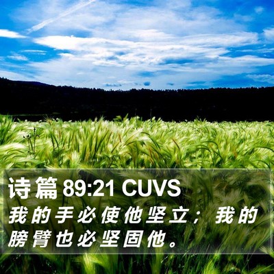 诗 篇 89:21 CUVS Bible Verse Image