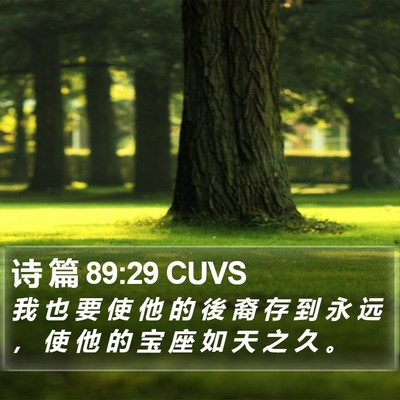 诗 篇 89:29 CUVS Bible Verse Image