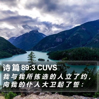 诗 篇 89:3 CUVS Bible Verse Image