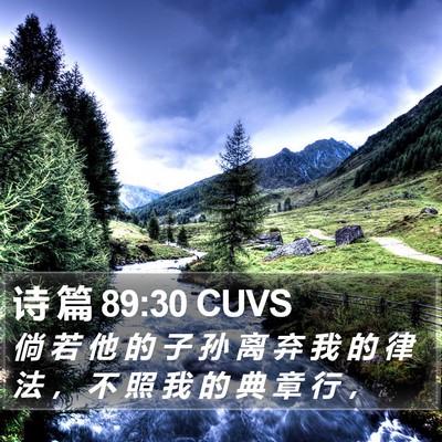 诗 篇 89:30 CUVS Bible Verse Image