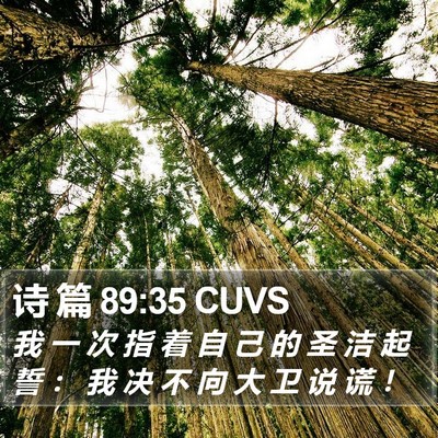 诗 篇 89:35 CUVS Bible Verse Image