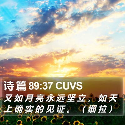诗 篇 89:37 CUVS Bible Verse Image