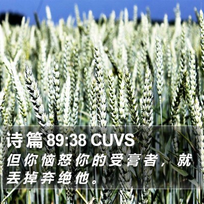 诗 篇 89:38 CUVS Bible Verse Image