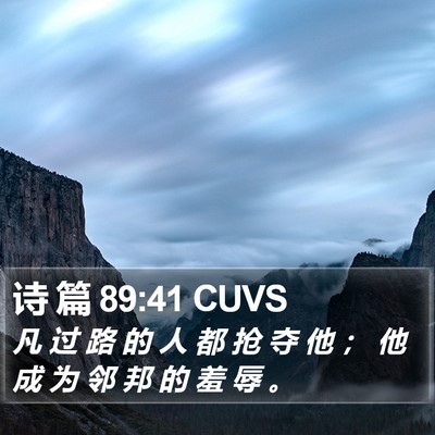 诗 篇 89:41 CUVS Bible Verse Image