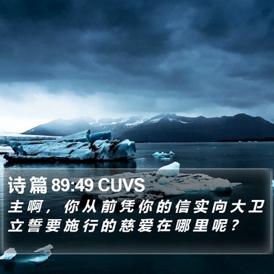诗 篇 89:49 CUVS Bible Verse Image