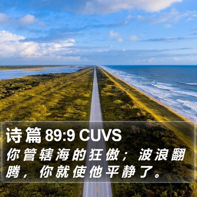 诗 篇 89:9 CUVS Bible Verse Image