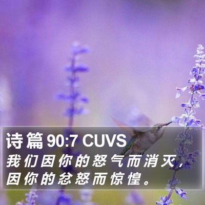 诗 篇 90:7 CUVS Bible Verse Image