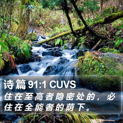 诗 篇 91:1 CUVS Bible Verse Image