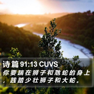 诗 篇 91:13 CUVS Bible Verse Image