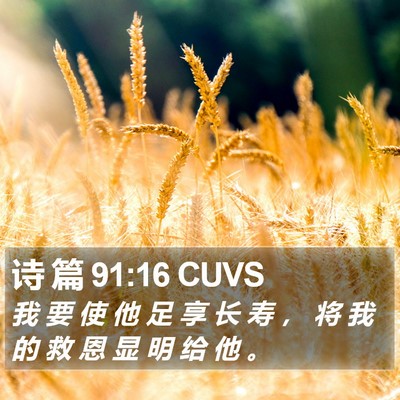 诗 篇 91:16 CUVS Bible Verse Image