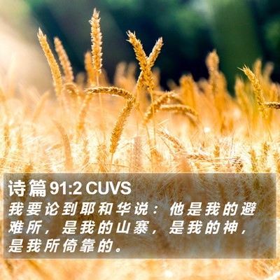 诗 篇 91:2 CUVS Bible Verse Image