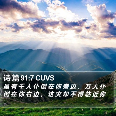 诗 篇 91:7 CUVS Bible Verse Image