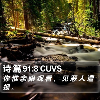 诗 篇 91:8 CUVS Bible Verse Image