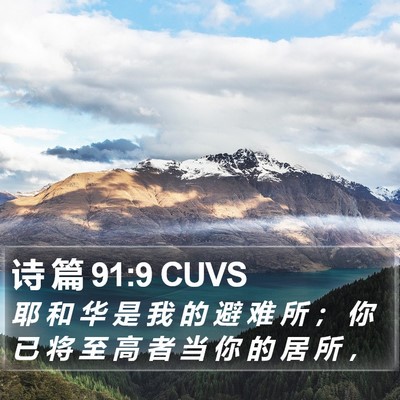 诗 篇 91:9 CUVS Bible Verse Image