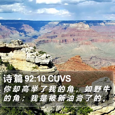 诗 篇 92:10 CUVS Bible Verse Image