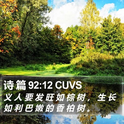 诗 篇 92:12 CUVS Bible Verse Image