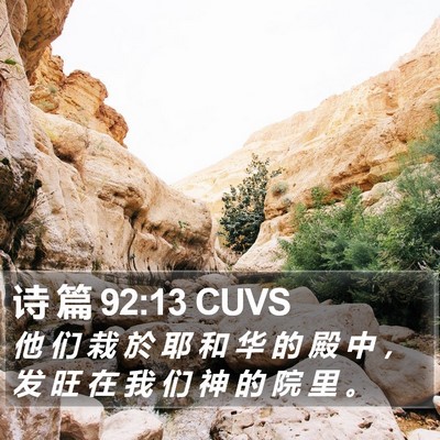 诗 篇 92:13 CUVS Bible Verse Image