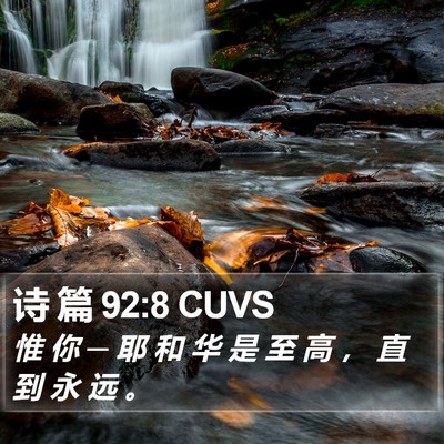 诗 篇 92:8 CUVS Bible Verse Image
