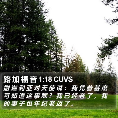 路 加 福 音 1:18 CUVS Bible Verse Image