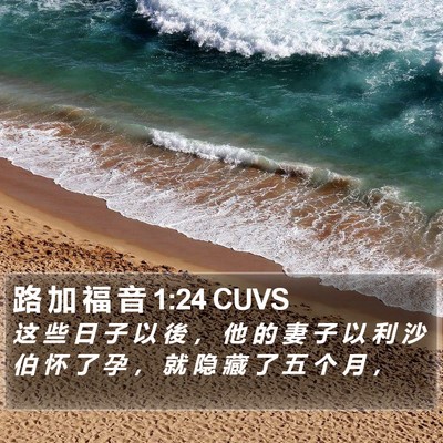 路 加 福 音 1:24 CUVS Bible Verse Image
