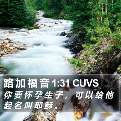 路 加 福 音 1:31 CUVS Bible Verse Image