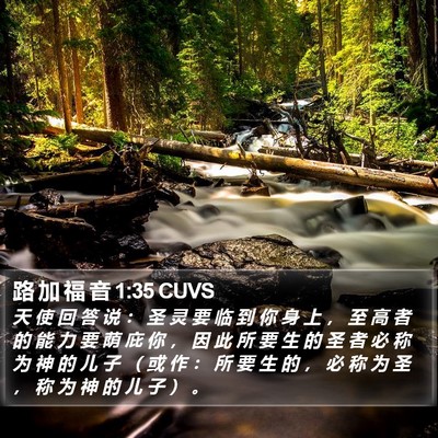 路 加 福 音 1:35 CUVS Bible Verse Image