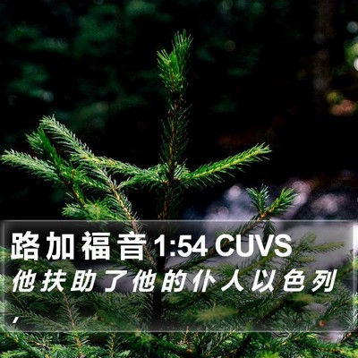 路 加 福 音 1:54 CUVS Bible Verse Image