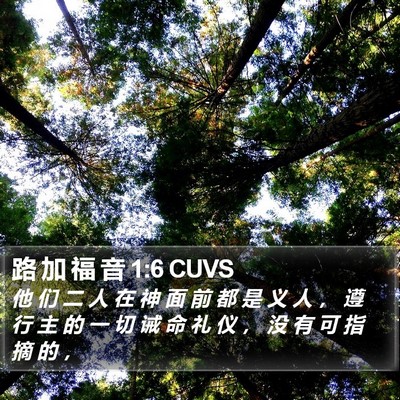 路 加 福 音 1:6 CUVS Bible Verse Image