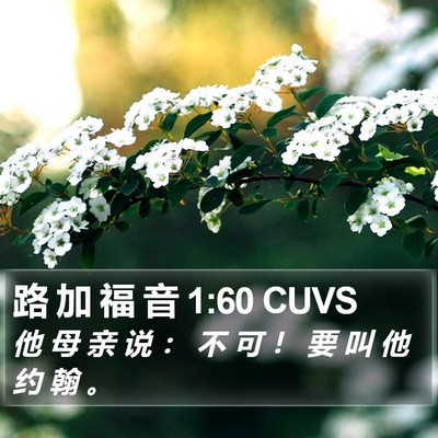 路 加 福 音 1:60 CUVS Bible Verse Image