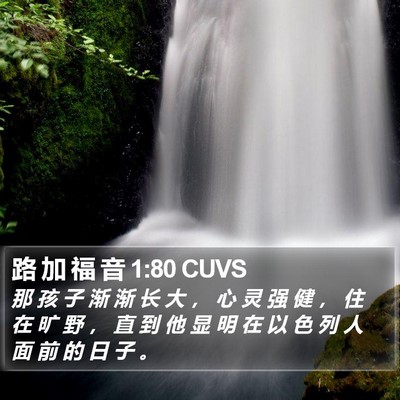 路 加 福 音 1:80 CUVS Bible Verse Image
