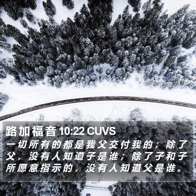 路 加 福 音 10:22 CUVS Bible Verse Image