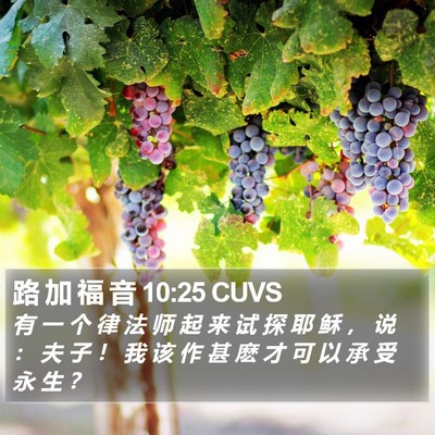 路 加 福 音 10:25 CUVS Bible Verse Image