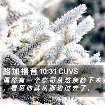 路 加 福 音 10:31 CUVS Bible Verse Image